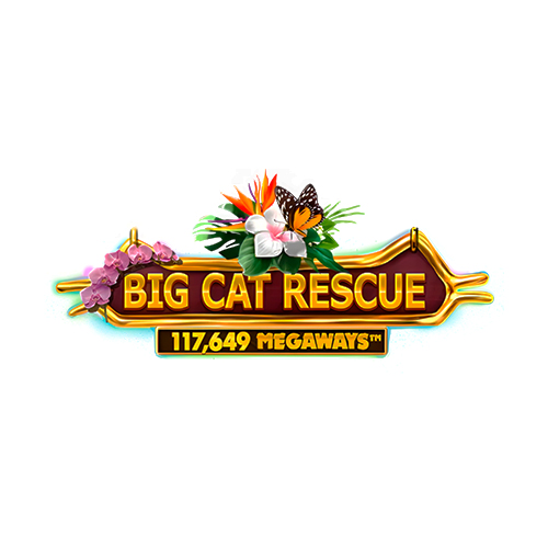 Big Cat Rescue Megaways™ Slot