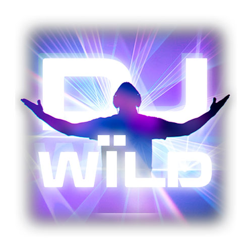 DJ Wild Slot