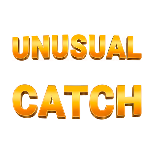 Unusual Catch Slot